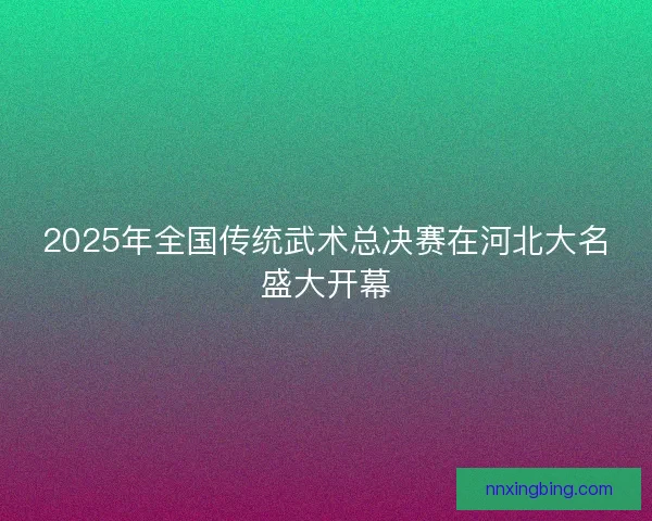 2025年全国传统武术总决赛在河北大名盛大开幕 2025年全国传统武术总决赛在河北大名盛大开幕