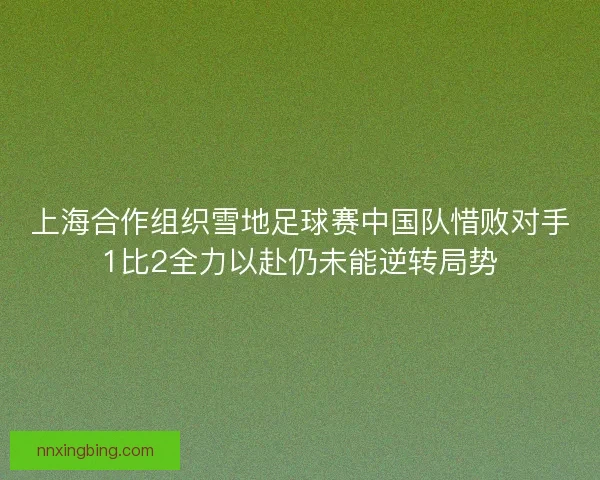 上海合作组织雪地足球赛中国队惜败对手1比2全力以赴仍未能逆转局势
